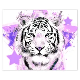 plakaty-50x40-tygrys-we-fiolecie