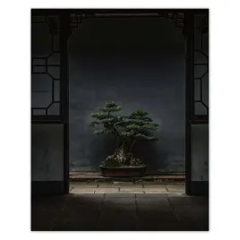 plakaty-40x50-bonsai-drzewko-kultura