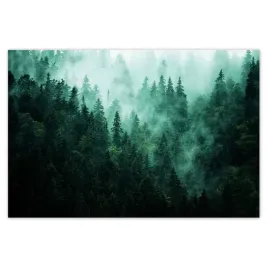 plakaty-60x40-las-mgla-krajobraz-podroz