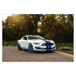 plakaty-60x40-ford-mustang-samochod-usa
