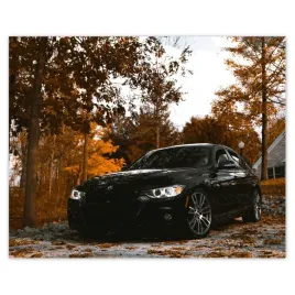plakaty-50x40-czarne-bmw-jesien