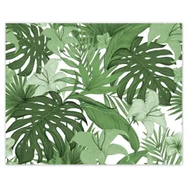 plakaty-50x40-monstera-nowoczesny-wzor