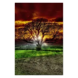 plakaty-40x60-magiczne-drzewo-krajobraz