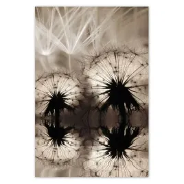 plakaty-40x60-dmuchawce-latawce-w-sepii