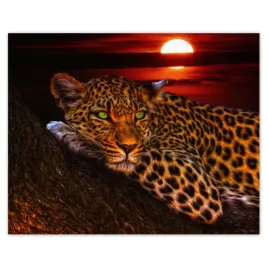 plakaty-50x40-lampart-pantera