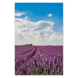 plakaty-40x60-pole-lawendy-lawenda