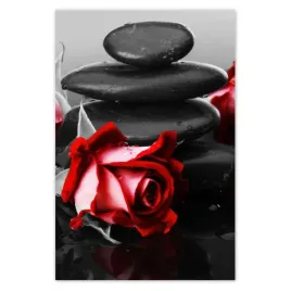 plakaty-40x60-czerwone-roze-kamienie