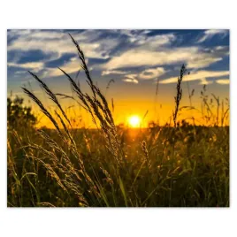plakaty-50x40-zachod-slonca-wsrod-traw