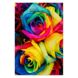 plakaty-40x60-kolorowe-roze-kwiaty