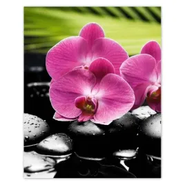 plakaty-40x50-spa-kamienie-i-oleandry