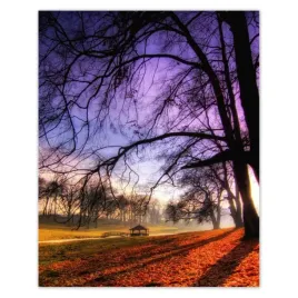 plakaty-40x50-park-w-wasowie