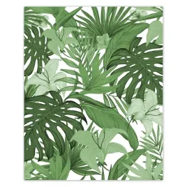 plakaty-40x50-monstera-nowoczesny-wzor