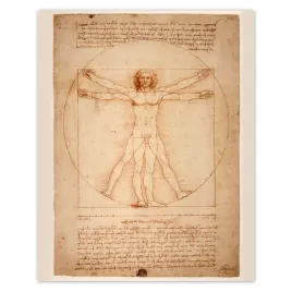 plakaty-40x50-czlowiek-witruwianski-da-vinci