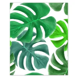 plakaty-40x50-liscie-monstery-tropiki