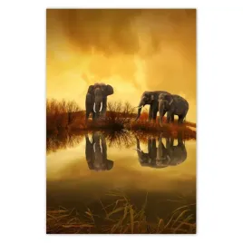 plakaty-80x120-slonie-przy-wodopoju