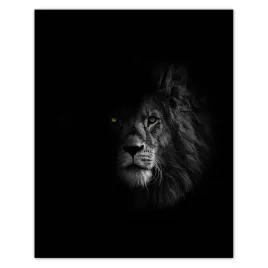 plakaty-40x50-lew-w-cieniu-krol