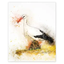 plakaty-40x50-bocian