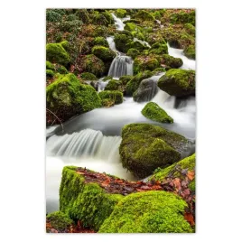 plakaty-80x120-gorski-pejzaz-z-rwacym-potoczkiem-potok-w-gorach