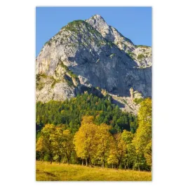 plakaty-80x120-gorski-pejzaz-z-czystym-niebem-drzewa-w-gorach