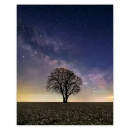 plakaty-40x50-samotne-drzewo-i-gwiazdy