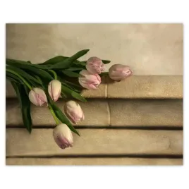 plakaty-50x40-bukiet-rozowych-tulipanow