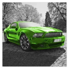 plakaty-50x50-ford-mustang-samochod