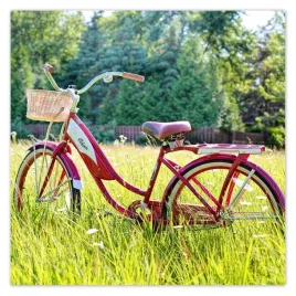 plakaty-50x50-rowery-rowerki-dwa-kolka