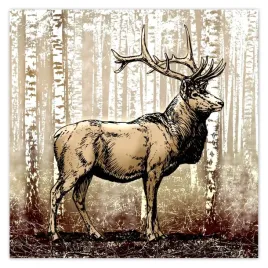 plakaty-70x70-jelen-w-lesie-brzozy