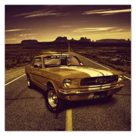 plakaty-70x70-ford-mustang-old-school