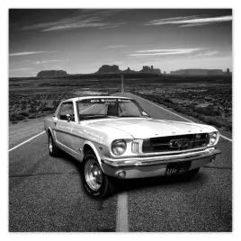 plakaty-50x50-oldschoolowy-ford-mustang