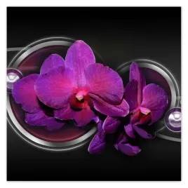 plakaty-70x70-fioletowa-orchidea