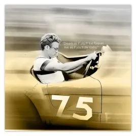plakaty-50x50-james-dean-w-samochodzie