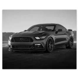 plakaty-50x40-ford-mustang-samochod