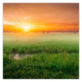 plakaty-70x70-wschod-slonca-pobudka