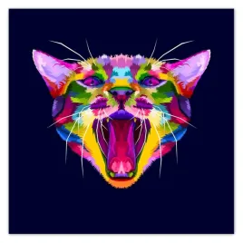 plakaty-70x70-abstrakcyjny-kociak