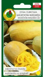 dynia-makaronowa-warszawska-2g-nswpd133
