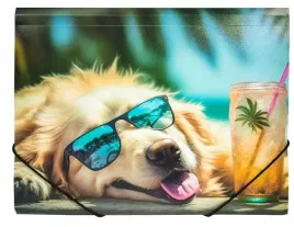 teczka-a4-pp-z-nadrukiem-chillout-dog