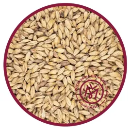 slod-bursztynowy-cookie-500g-viking-malt