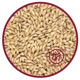 slod-pale-ale-5kg-viking-malt-piwo-domowe