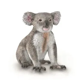 mis-koala
