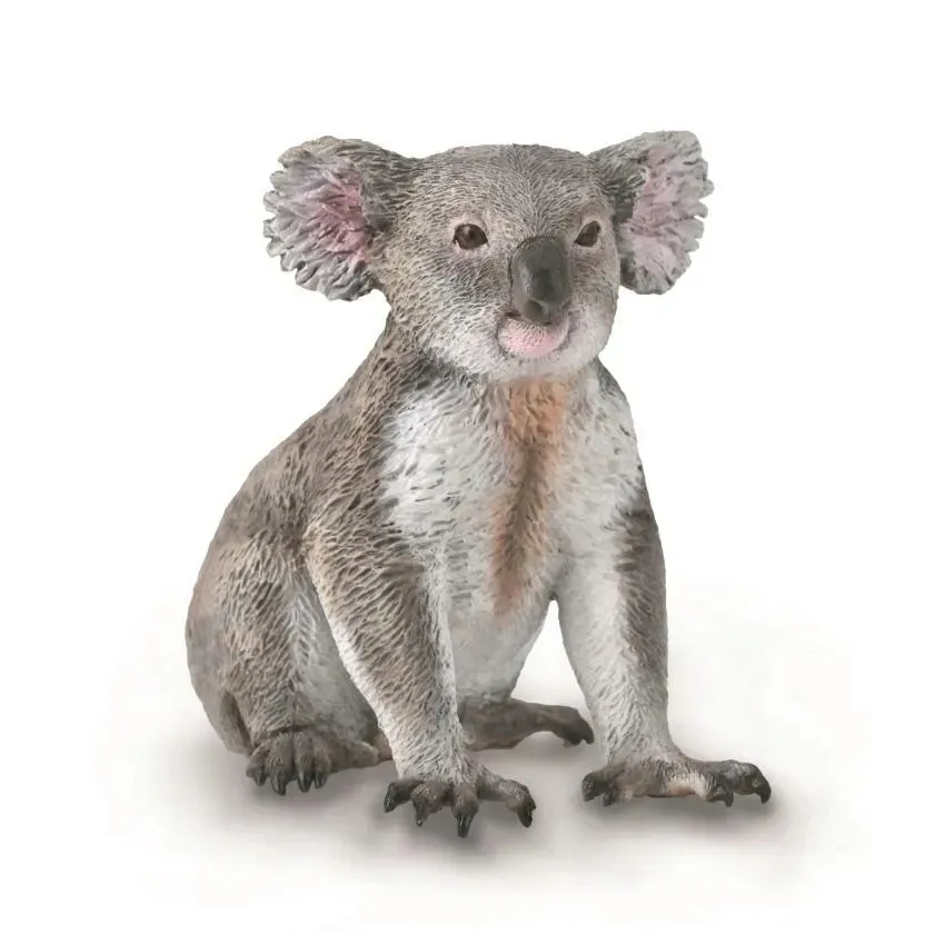 mis-koala