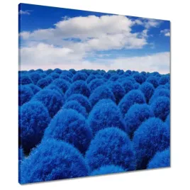 obrazy-60x60-w-klasycznej-niebieskosci