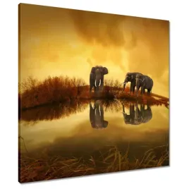 obrazy-60x60-slonie-przy-wodopoju