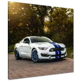 obrazy-60x60-sportowy-ford-mustang