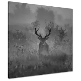 obrazy-60x60-jelen-we-mgle
