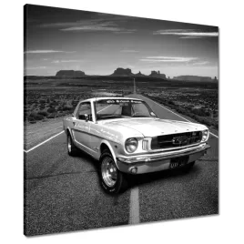 obrazy-60x60-oldschoolowy-ford-mustang