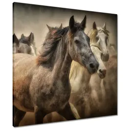 obrazy-60x60-dzikie-konie-koniki-galop
