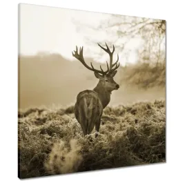 obrazy-60x60-jelen-las-zachod-slonca