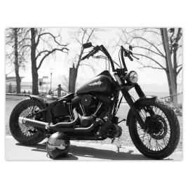 plakaty-40x30-harley-davidson-motocykl