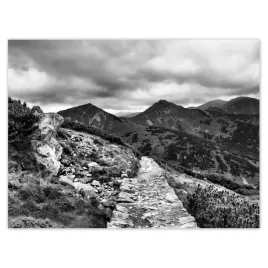 plakaty-40x30-tatry-polskie-gory-widok